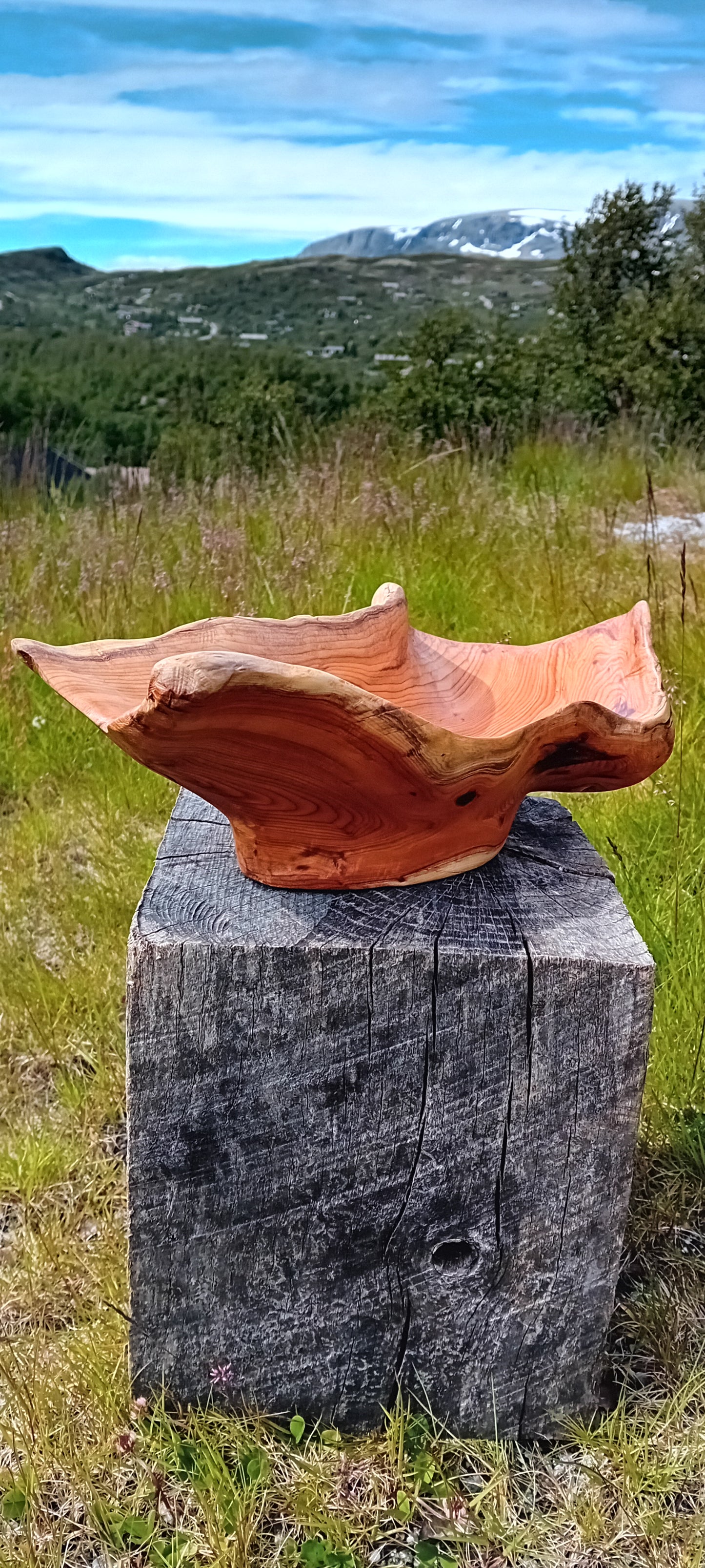 Håndskåret naturskål av barlind