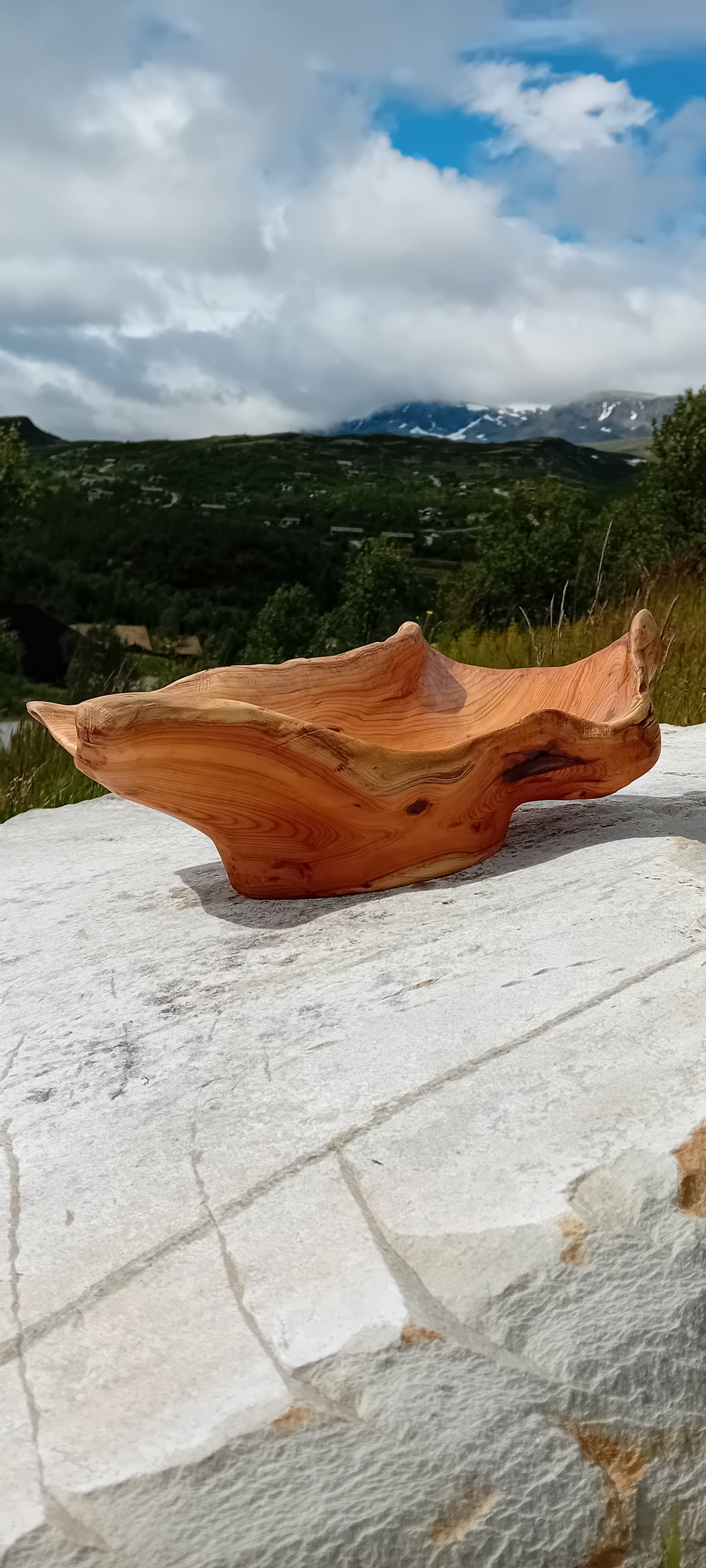 Håndskåret naturskål av barlind