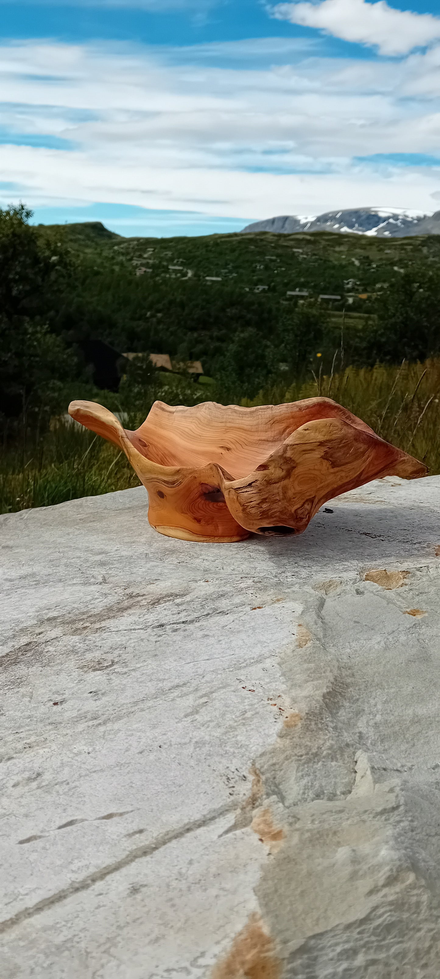 Håndskåret naturskål av barlind