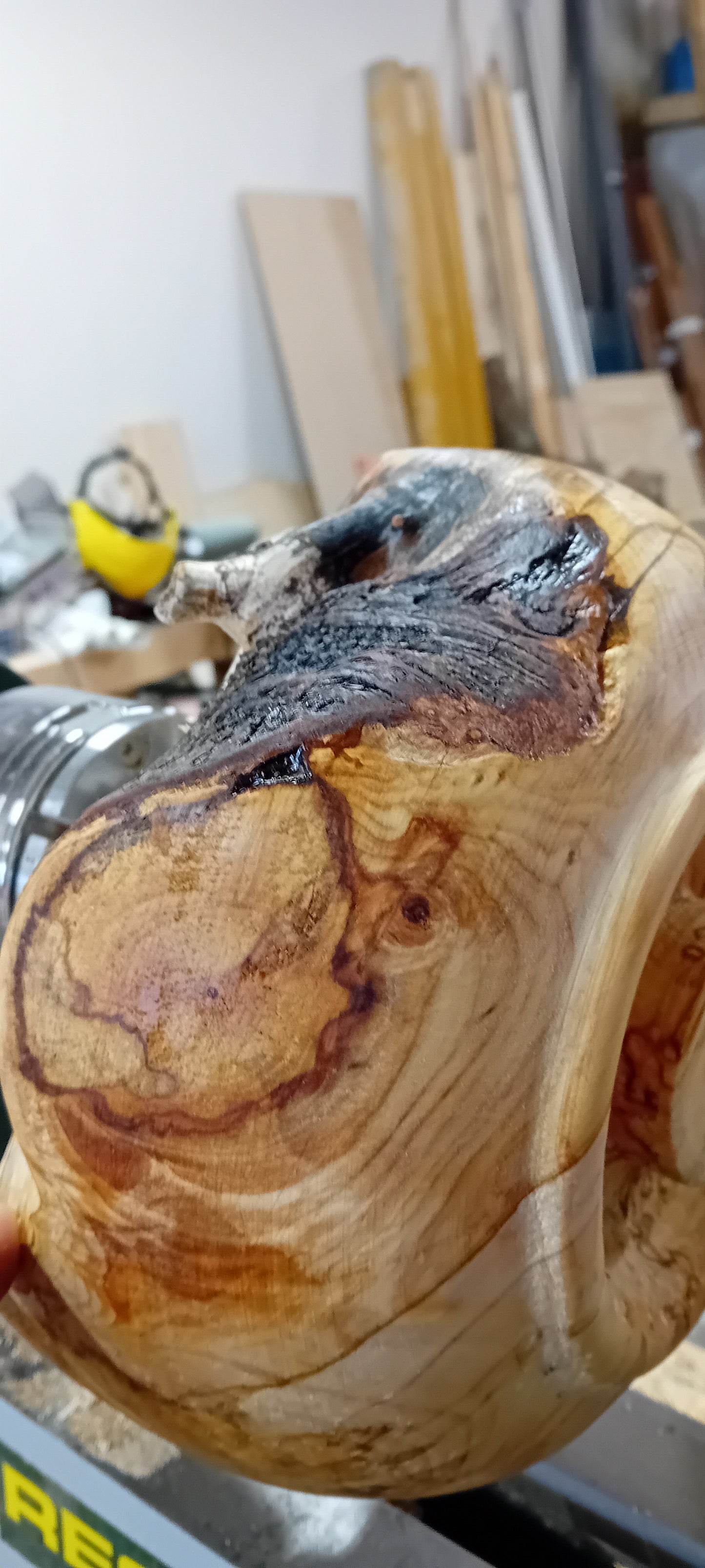 Natur-bolle av bjørkeknute.