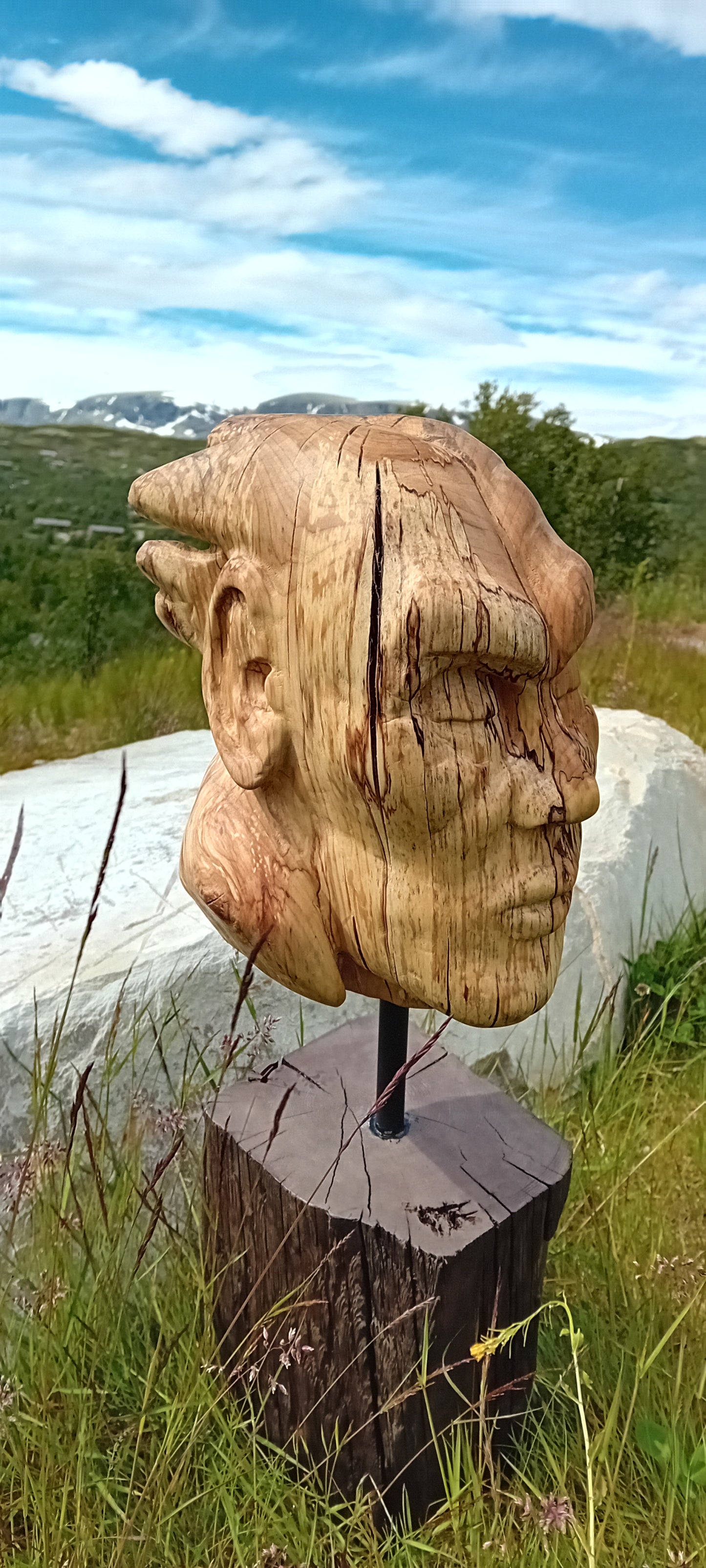 Søvnheimspeil - Skulptur av bjørkeknute