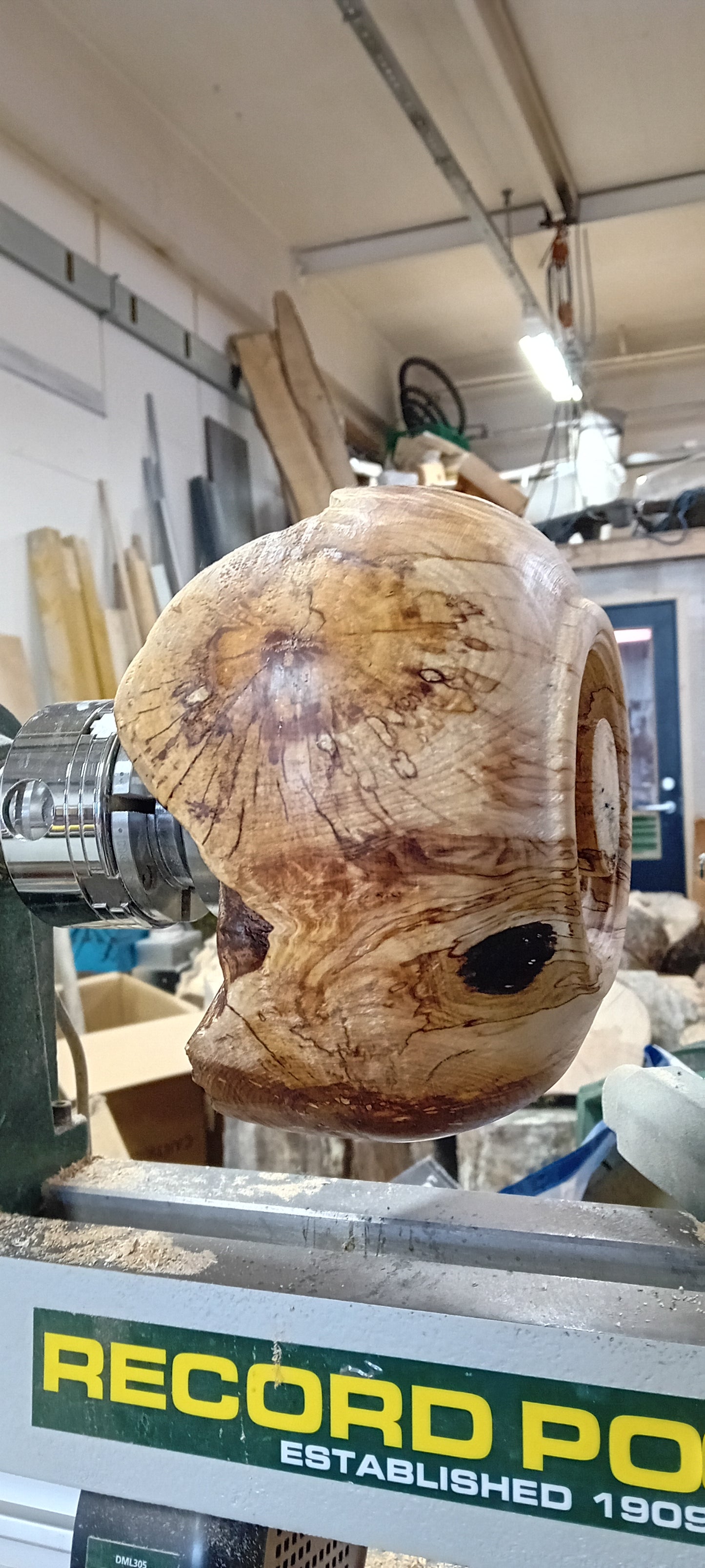 Natur-bolle av bjørkeknute.