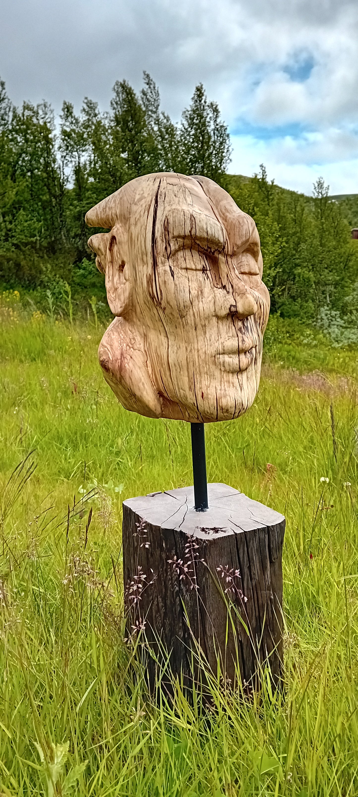 Søvnheimspeil - Skulptur av bjørkeknute