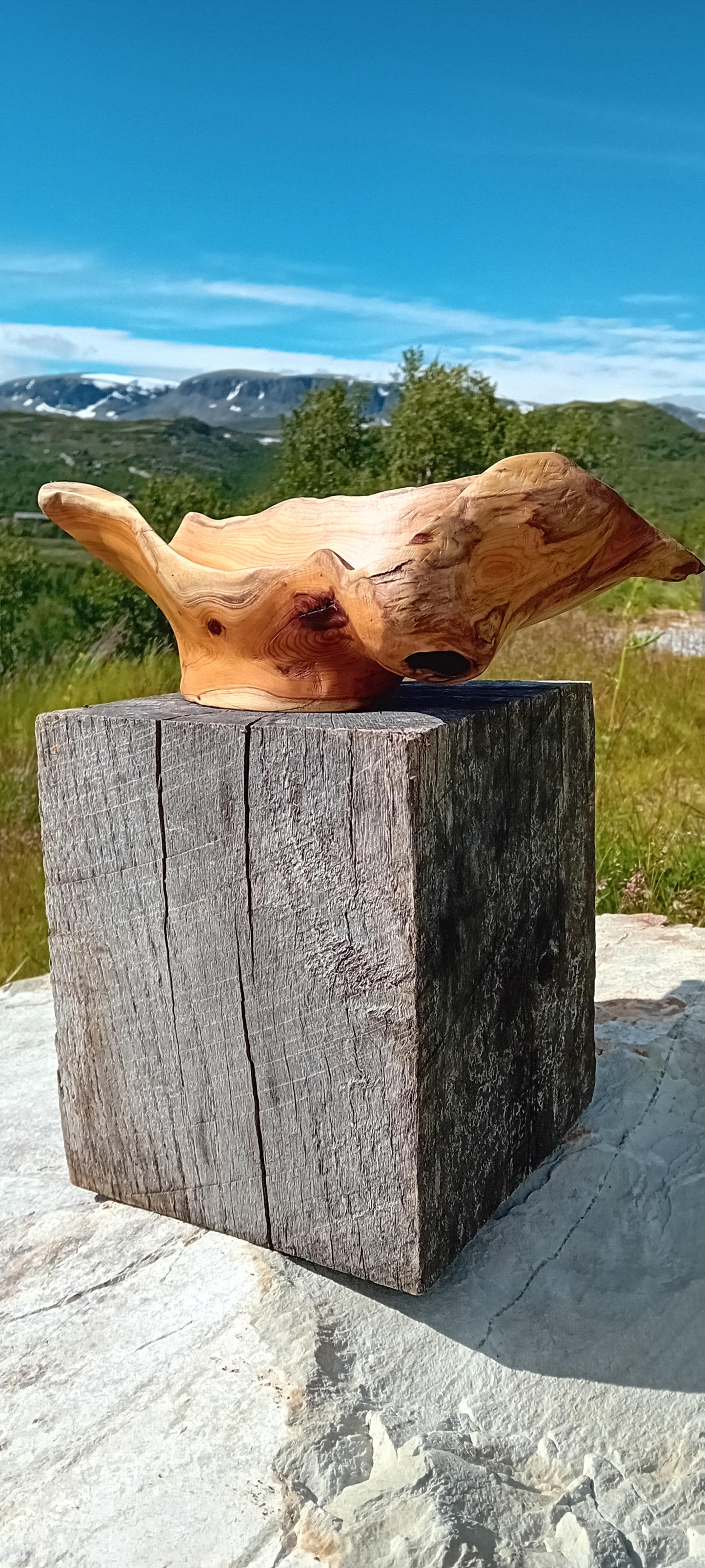 Håndskåret naturskål av barlind