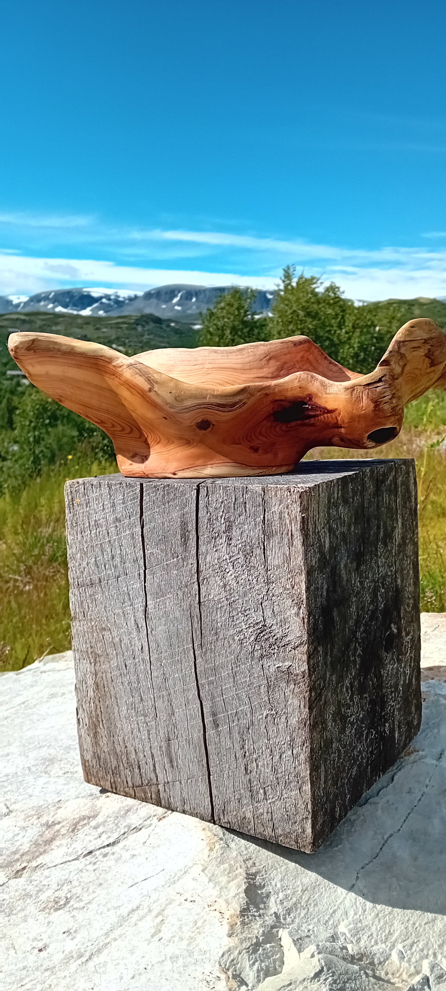 Håndskåret naturskål av barlind